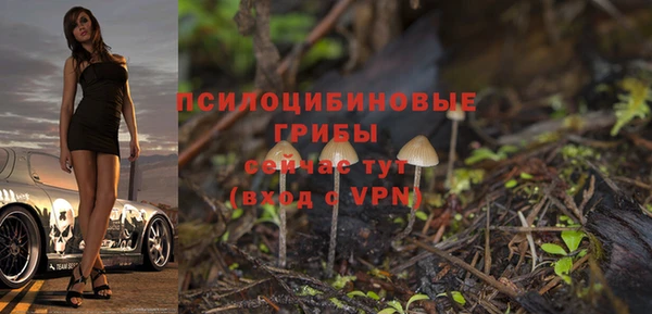 метадон Медногорск