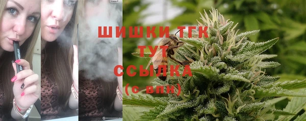 сатива Мегион